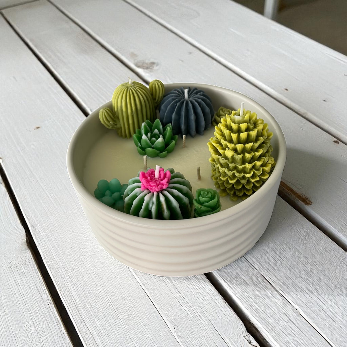 Velas decorativa con diseño de suculentas y cactus.